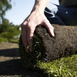 Rullegræs - Gratis Fragt!