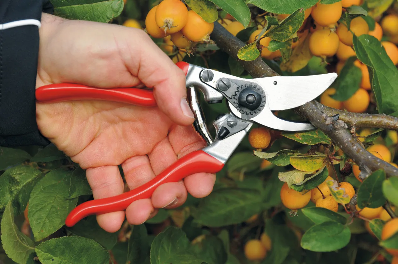 Felco 9 - Beskæresaks 3 Felco 9 - Beskæresaks