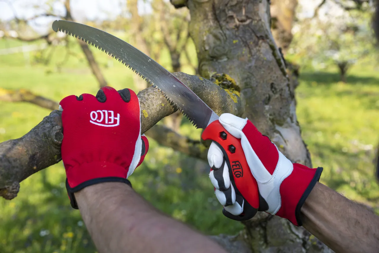 Felco 630 - Grensav 4 Felco 630 - Grensav - Image 2