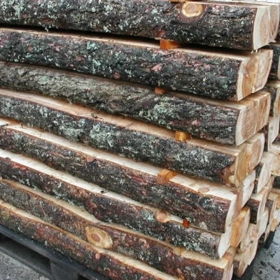 Havesveller I Lærk - 1 Palle Med 50 Stk. 3 Havesveller I Lærk - 1 Palle Med 50 Stk.