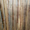 BambusHegn Macao 150 X ca.300 Cm 2 BambusHegn Macao 150 X ca.300 Cm -Planter Butik PART 15880958234602