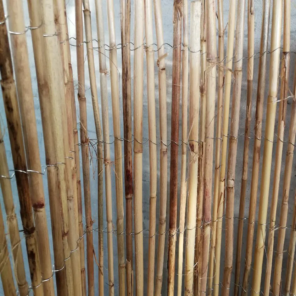 BambusHegn Macao 150 X ca.300 Cm 3 BambusHegn Macao 150 X ca.300 Cm