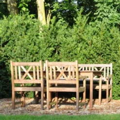 Taxus Media 'Hillii' (Taks), Salgshøjde: 30-40 Cm