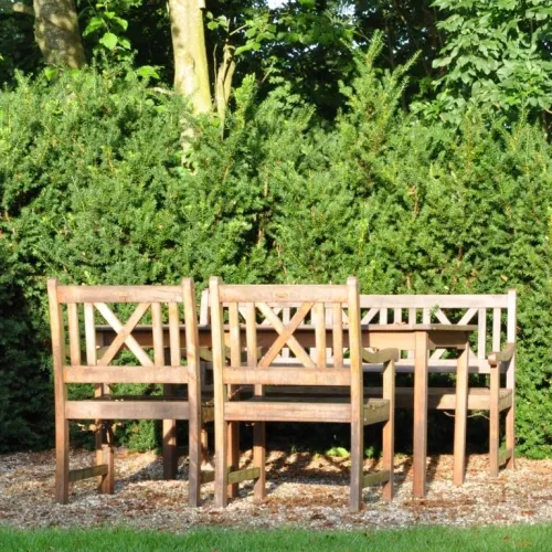 Taxus Media 'Hillii' (Taks), Salgshøjde: 30-40 Cm 3 Taxus Media 'Hillii' (Taks), Salgshøjde: 30-40 Cm